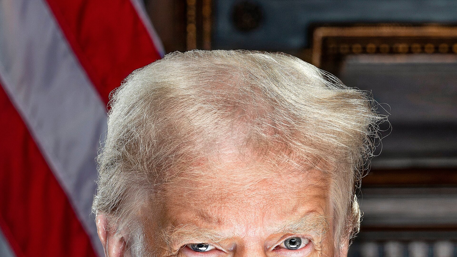 President Donald Trump in his official presidential portrait
