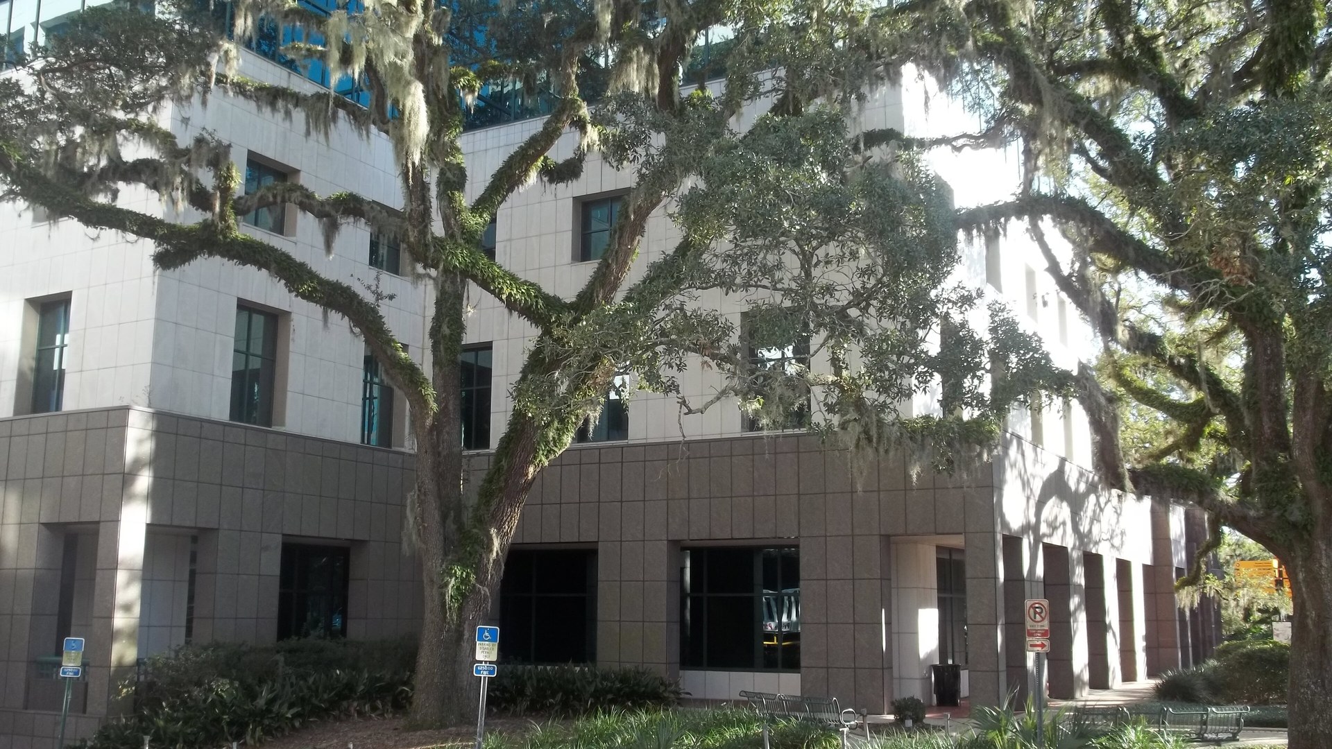 Leon County Courthouse building in Tallahassee shaded by oak trees