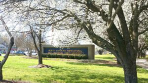 Entrance sign for North Carolina Agricultural and Technical State University framed by spring blossoms in Greensboro