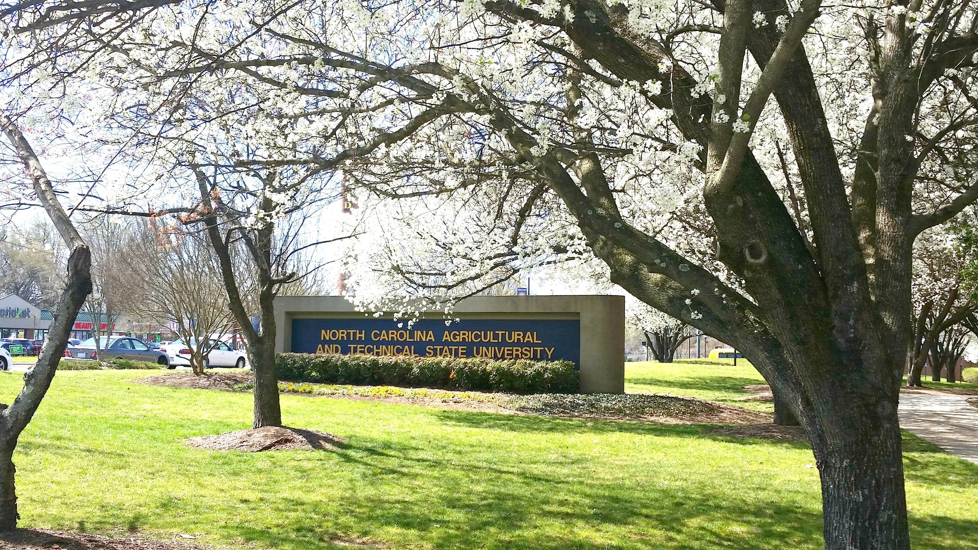Entrance sign for North Carolina Agricultural and Technical State University framed by spring blossoms in Greensboro