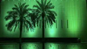 The United States Embassy in Riyadh Saudi Arabia lit green at night behind palm trees