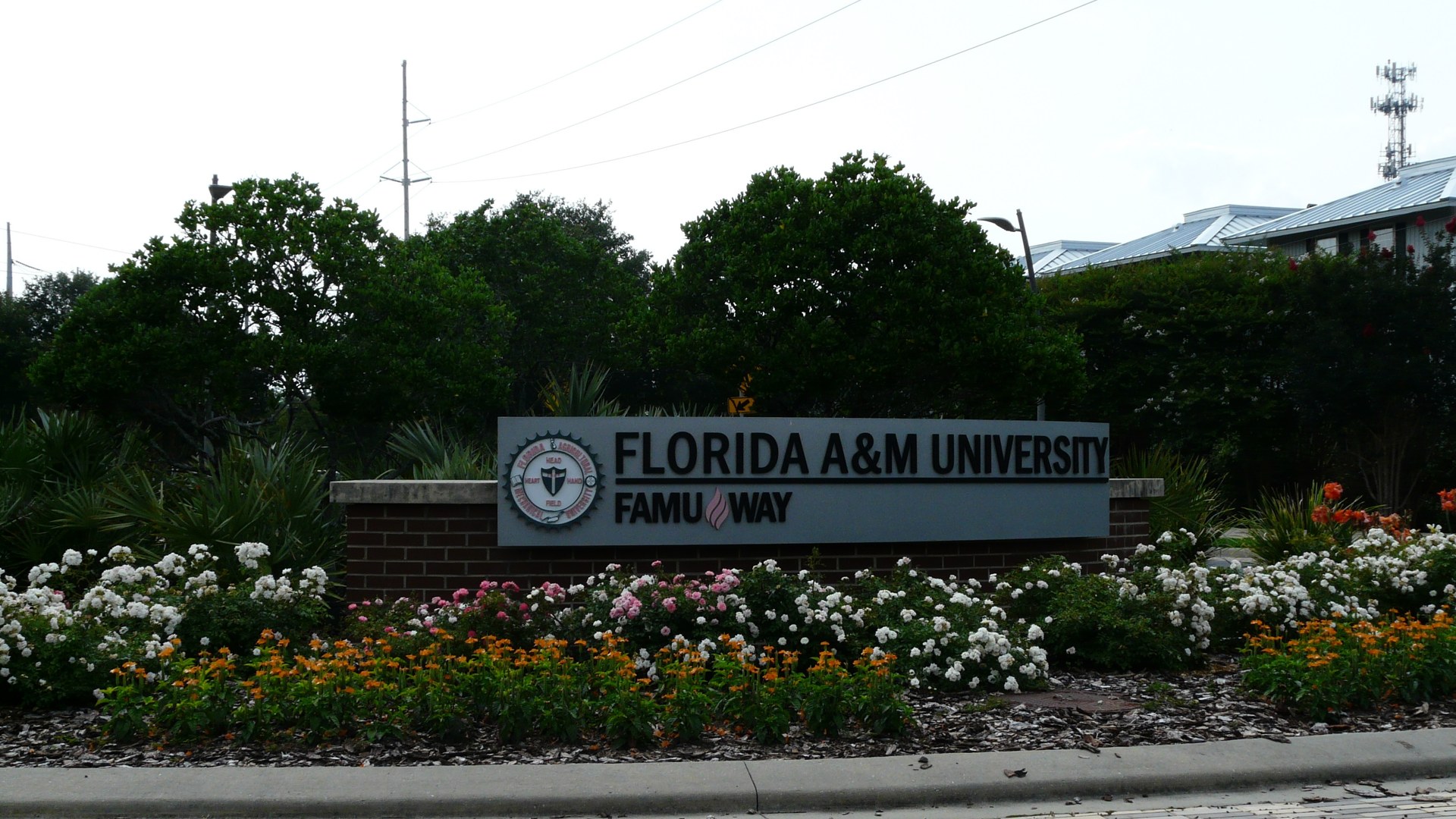 The Florida A and M University sign on FAMU Way in Tallahassee surrounded by flowers